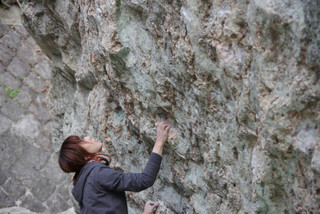 Img_4935 Img_4935