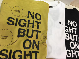  THE NORTH FACEのTシャツ入荷！