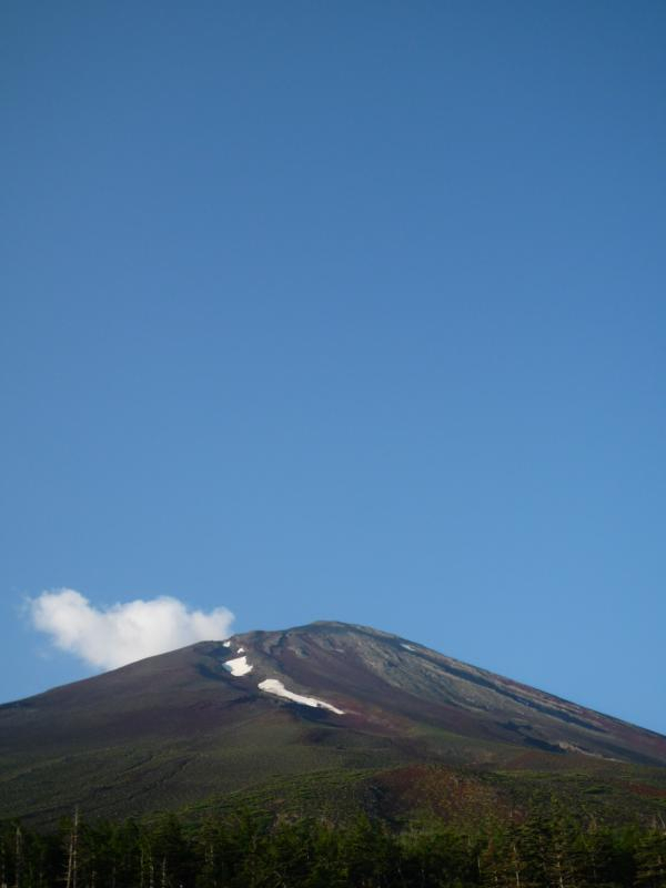 P10402731