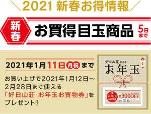 20201231_2