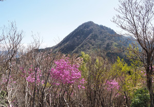 P5040034_2