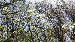 P5080025