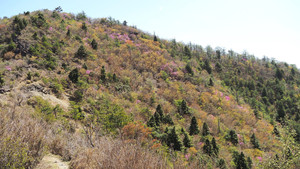 P5080040