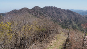 P5080123