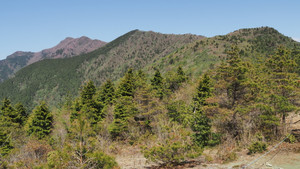 P5080206