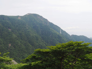 P6090079_1