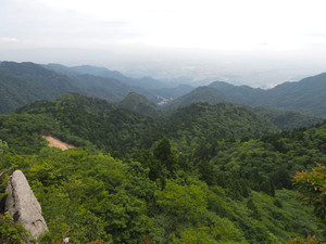 P6090087_1