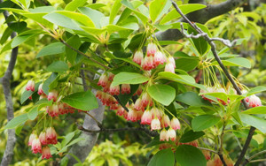 P6090180_1