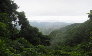 P6140048