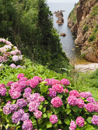 P6250127
