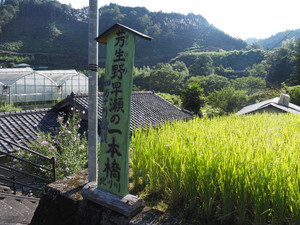 P8280001