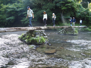 P8280014