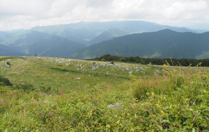 P8280082