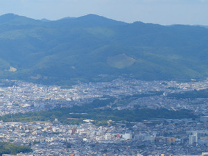 P8060180