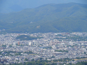 P8060181