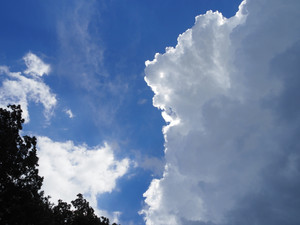 P8060206