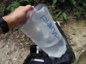 P8060242