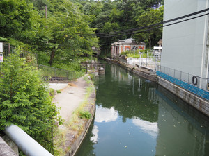 P8060254