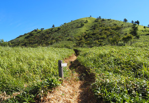 P7300010