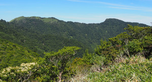 P7300011