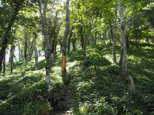 P7300035