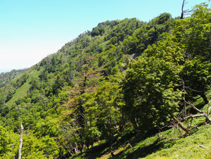 P7300059