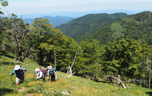 P7300060