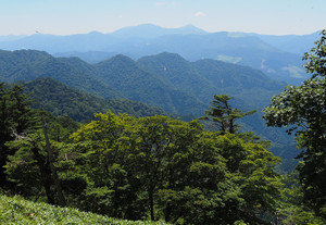 P7300062