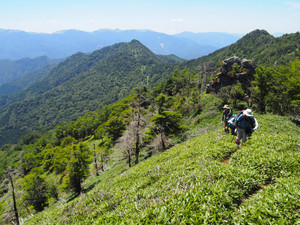 P7300082