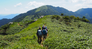 P7300137