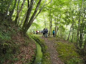 P9100078