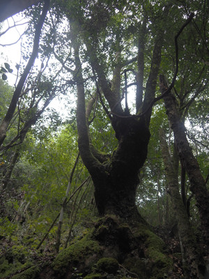 P9100108_2