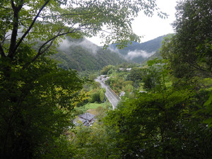 P9100149_1