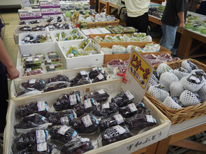 P9130016
