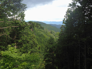 P6150190
