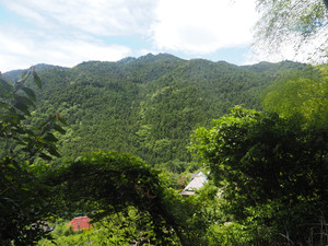 P6150294