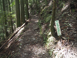 P6150330