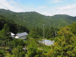 P6150413