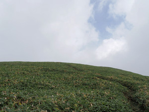 P9170054_1