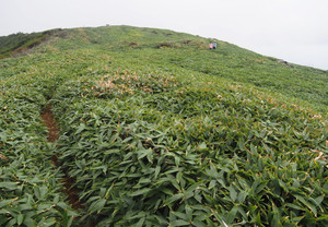 P9170075_1