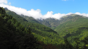 Pa060125