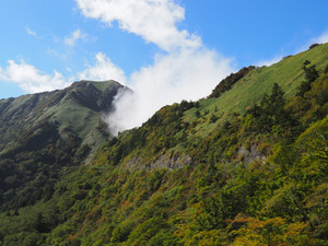 Pa060153