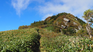 Pa060199