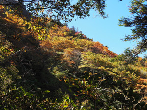 Pa100087_1