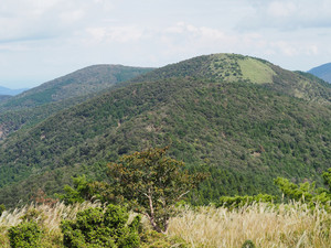 Pa020074