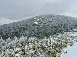 572000765_1439728291494716_33149155