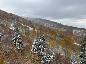 572825564_1439731648161047_78951332