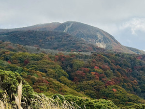 574029450_1442804064520472_79035725 574029450_1442804064520472_79035725