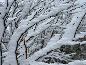 574324899_1439730691494476_83287644