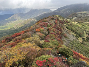 574377484_1442803491187196_28239737 574377484_1442803491187196_28239737